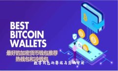 数字钱包的弊端与影响分