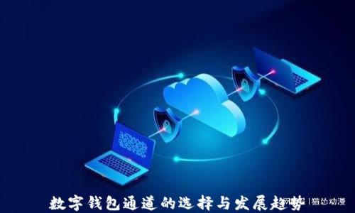 
数字钱包通道的选择与发展趋势