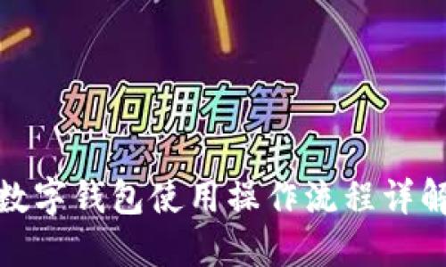 数字钱包使用操作流程详解