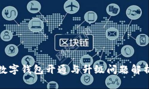 数字钱包开通与升级问题解析